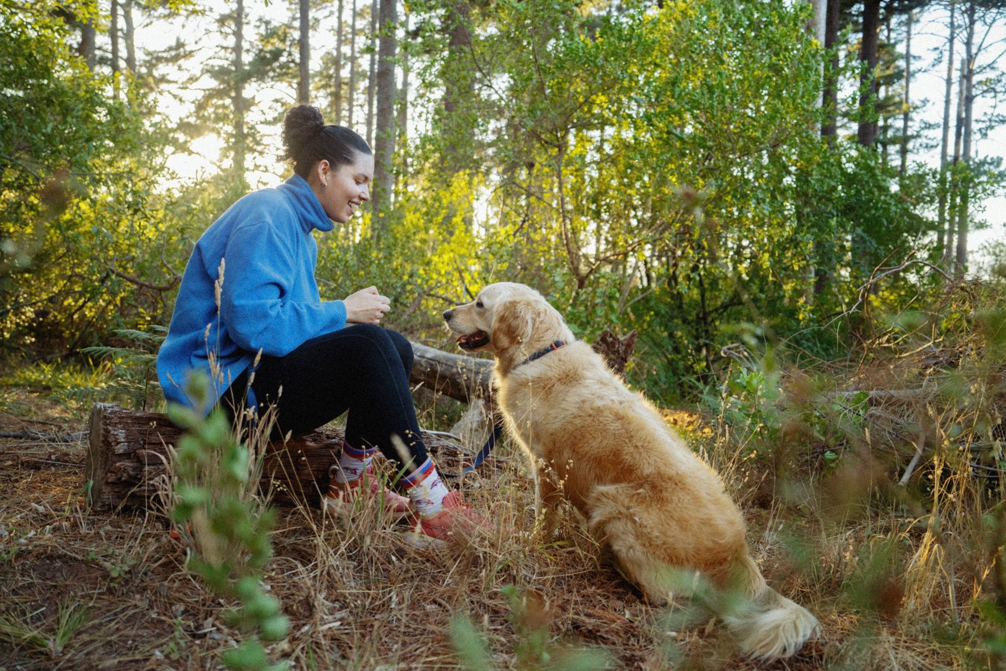 Cape Town's Best Dog-Friendly Hikes (and How to Tread Lightly)