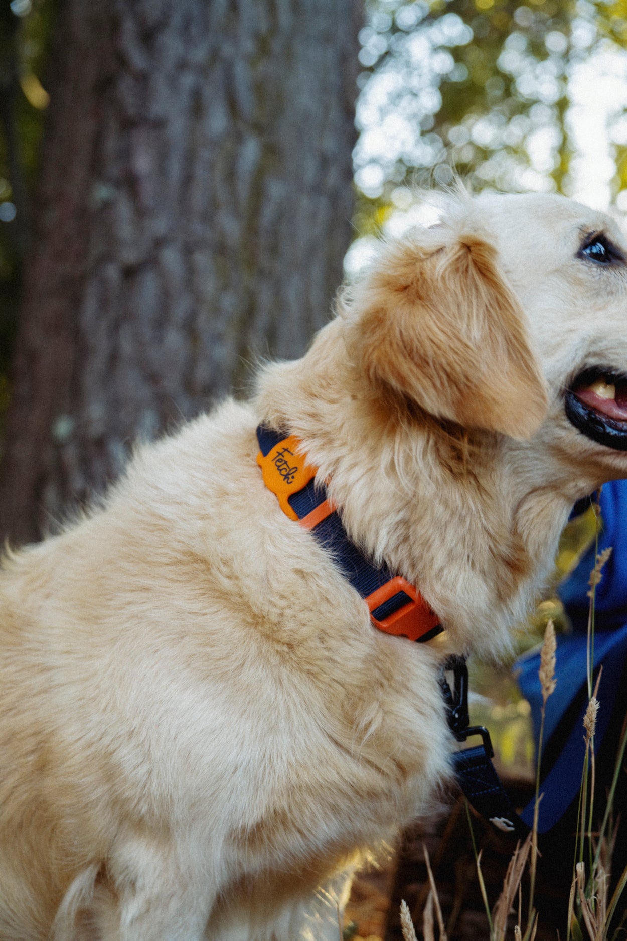 Pet Apple Airtag Collar Holder - Orange