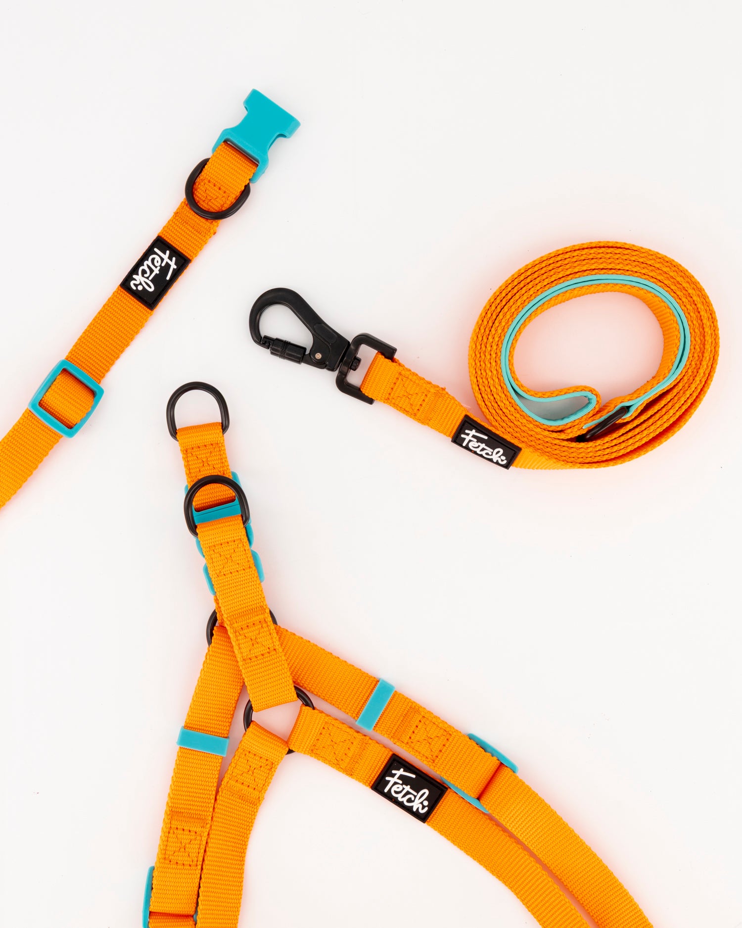The Sunny Harness