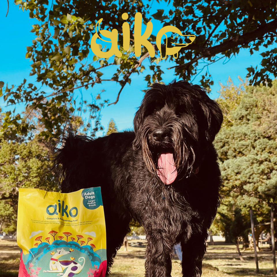 Large black dog standing next to a bag of aiko dog food in a park setting